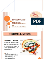 Estructuras Límbicas