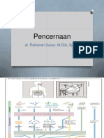 Pencernaan (Biokimia)