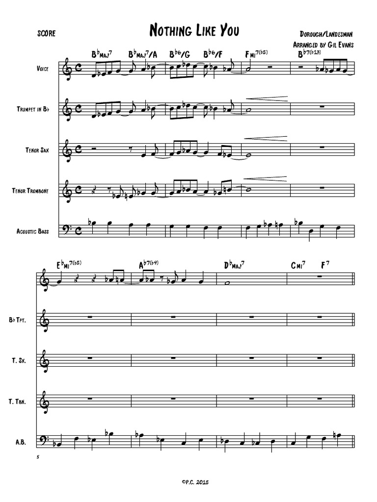 Nothing Like You (Complete) | PDF