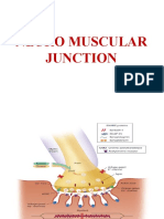 Neuro Muscular Junction