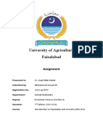 ABG Assignment (Yousaf Ali)