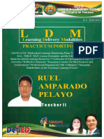 Ruel Amparado Pelayo: L D M Practicum Portfolio