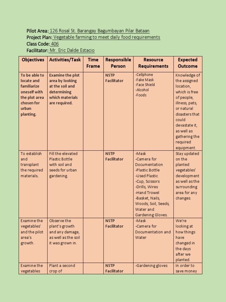 Action & Project Plan | PDF | Vegetables | Agriculture