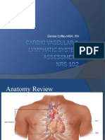 MSN RN Reviews Cardiac and Vascular Anatomy