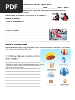 Guía Ciencias Naturales Séptimo Básico