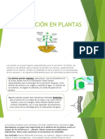 La Excreción en Plantas