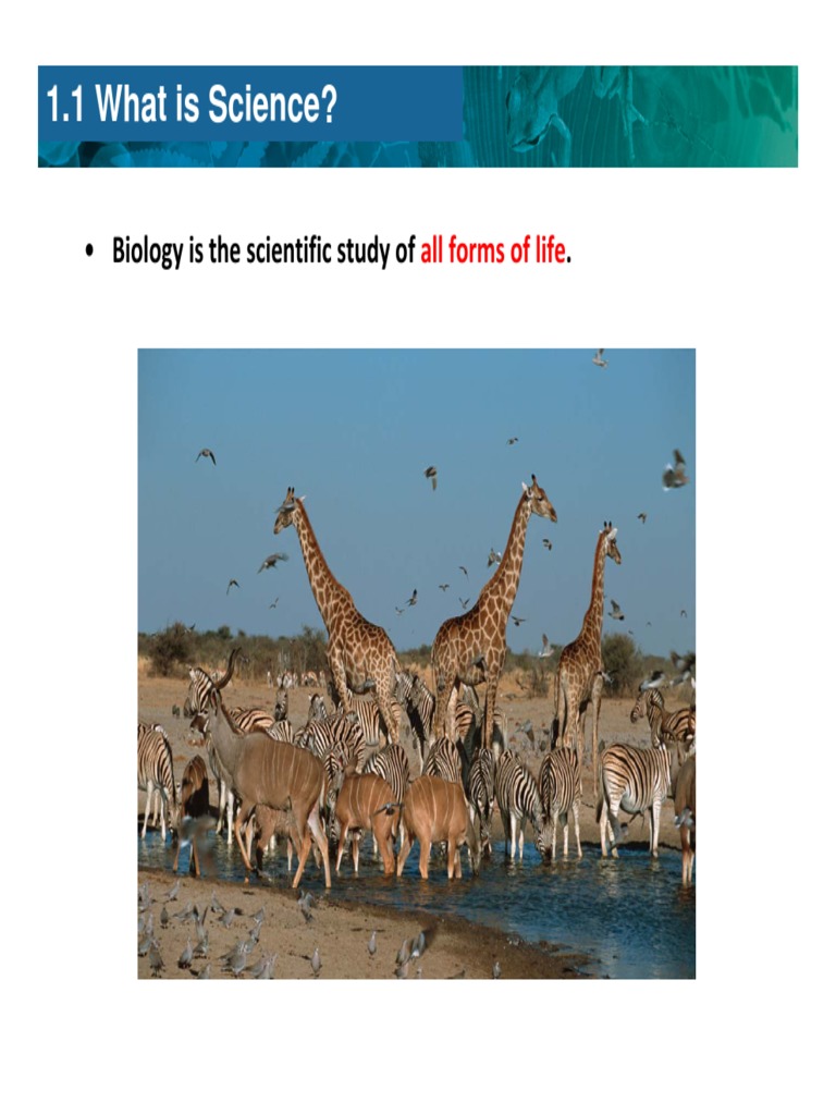 Understanding Life and Scientific Methods | PDF | Scientific Method ...