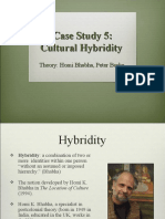 Case Study 5: Cultural Hybridity