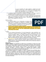 Sistema linfático y sus funciones vitales