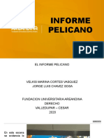 INFORME PELICANO (1)