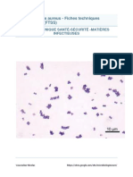 Staphylococcus Aureus