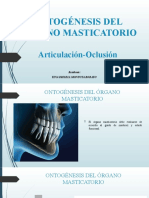 Ontogènesis Del Òrgano Masticatorio Yina Montoya