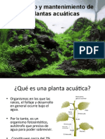 02 Gerardo Ramírez - Manejo y Mantenimiento de Plantas Acuáticas