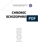 Group 4 Chronic Schizo Draft