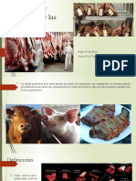 Clasificación y maduración de las carnes 