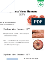 Aula 5 - HPV