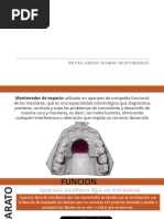 Mantenedor de Espacio Banda y Ansa | PDF | Ortodoncia | Ramas de ...