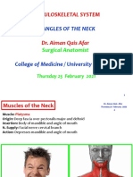 Musculoskeletal System: Triangles of The Neck