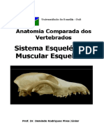 Apostila UnB Anatomia Comparada Dos Vertebrados: Sistema Esquelético e Muscular Esquelético