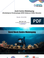 Mohammad Yasir Coral Stock Centre