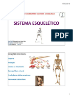 Aula Sistema Esquelético 1º ANO MEDICINA 17-03-2016