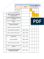 Cronograma de Actividades Profundizacion Cronico