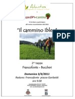 U Pedi in Caminu - Ailantos - Manifesto