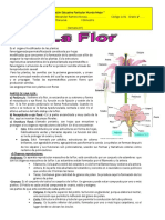 LA FLOR Y SUS PARTES - Primero.