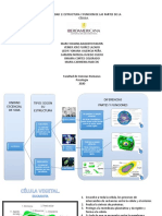 Presentación1 Diapositivas Biologia