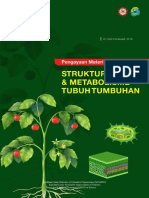 Struktur Tumbuhan - Oct