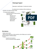 Histologia Vegetal 3