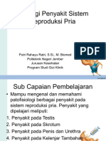 Patologi Penyakit Reproduksi Pria