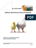 Manual Practico Pollo de Engorde