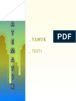 Yamuk Test 1