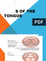 Parts of The Tongue