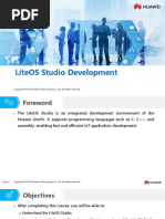 10 LiteOS Studio Development