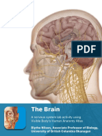 Lab Manual Brain Atlas