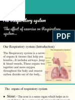 Presentation On The Respiratory System