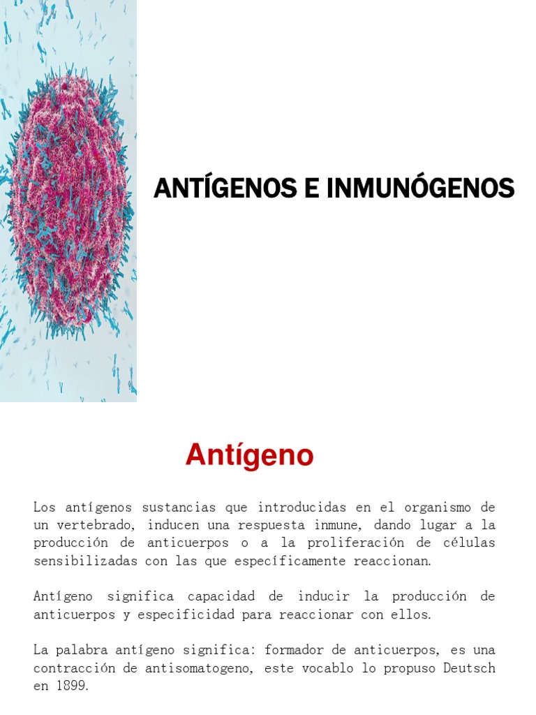 5 Antígeno e Inmunogeno 2021 | PDF | Antígeno | Célula B