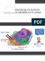 3.1 Struktur Membran Plasma