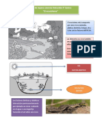 Guía de Estudio Oa 1