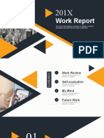 Work Report: Projector Presentations