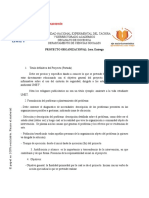 Formatos Proyecto Organizacional Gerencia