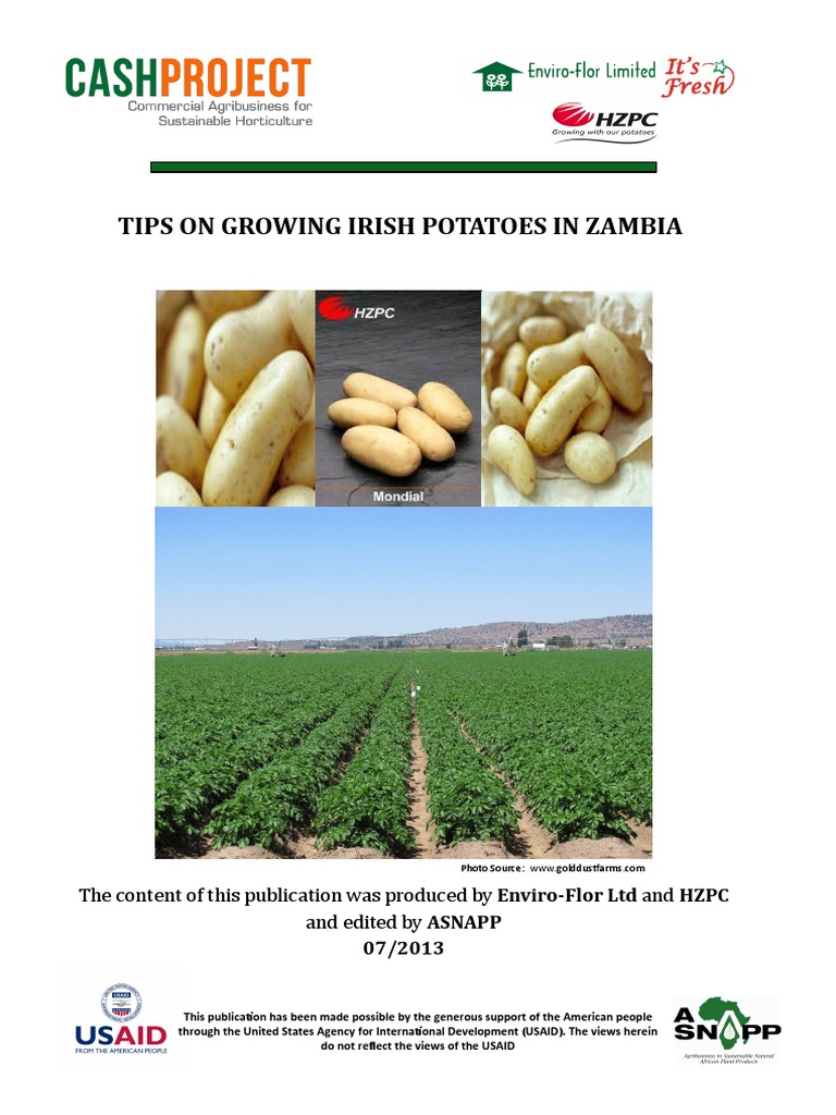 Tips On Growing Irish Potatoes in Zambia Cashproject PDF Potato