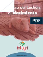 55. Manejo del lechon al nacimiento