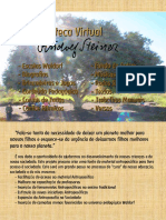 Projeto Biblioteca Virtual Rudolf Steiner