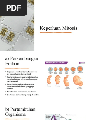 6 2 Kitar Sel Dan Mitosis Keperluan Mitosis Pdf