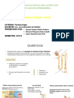 Diuréticos renales: clasificación, mecanismos y representantes