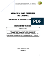 Expediente Forestacion Livitaca