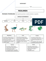 WORKSHEET Resumen